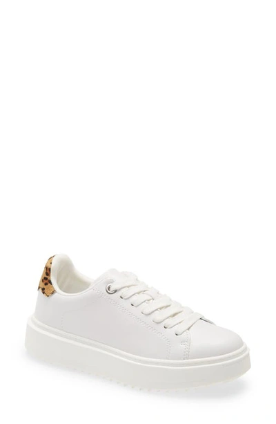Steve Madden Charlie Platform Sneaker In White/ Leopard