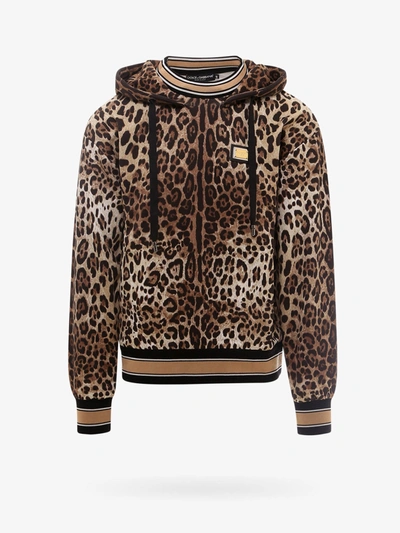 Dolce & Gabbana Animalier Print Stripe Trimmed Hooded Sweatshirt In Leo Senza Logo