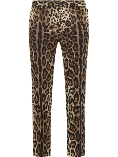 Dolce & Gabbana Leopard-print Straight-leg Trousers In Brown