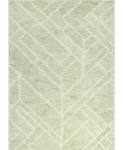 Bb Rugs Veneto Cl158 5' X 7'6" Area Rug In Grass