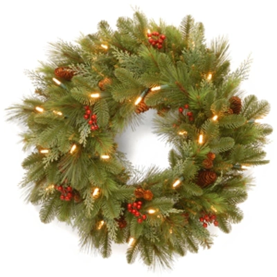 National Tree Company National Tree 24" Noelle Wreath With 30 Soft White Led Battery Operated Lights In Green