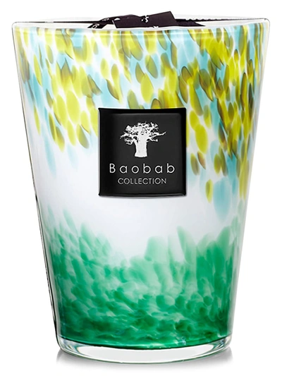 Baobab Collection Eden Max24 Forest Candle