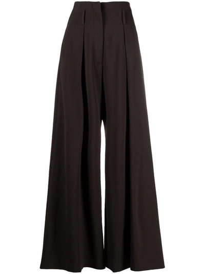 Alberto Biani Wide-leg Palazzo Trousers In Braun