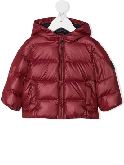 Fay Babies' Zip-up Hooded Padded Jacket In Burgundy