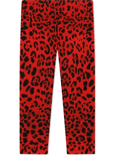 Dolce & Gabbana Kids' Girl's Cheetah-print Stretch Cotton Leggings In Red,black
