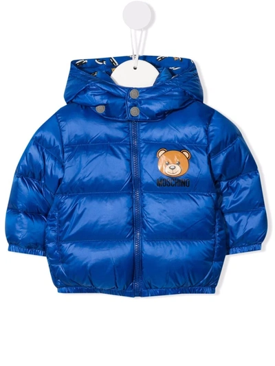 Moschino Babies' Teddy Bear-print Hooded Padded Jacket In Blu