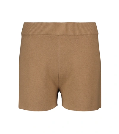 Max Mara Acro Wool And Cashmere-blend Shorts In Brown