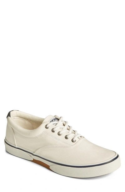 Sperry Top-sider Halyard Saltwashed Low Top Sneaker In White
