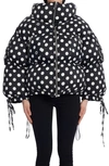 Dolce & Gabbana Polka Dot Oversized Padded Bomber Jacket In Black Print