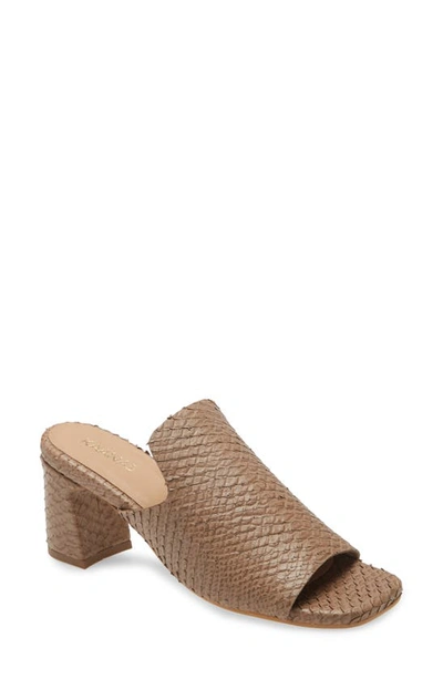 Kaanas Moscow Block Heel Sandal In Taupe