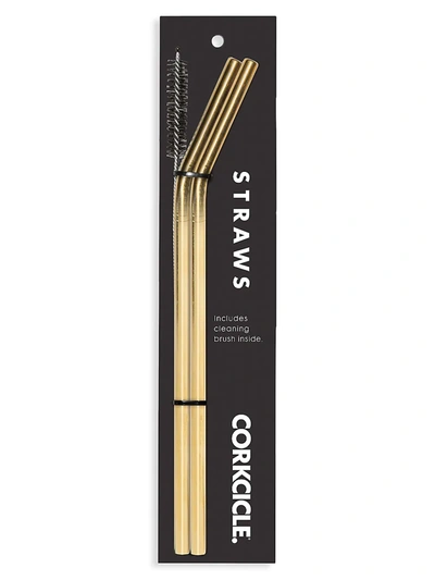 Corkcicle 2-pack Tumbler Straws In Gold