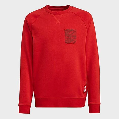 Adidas Originals Adidas Kids' Fc Bayern Soccer Crewneck Sweatshirt In Fcb True Red