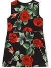 DOLCE & GABBANA ROSE-PRINT SLEEVELESS DRESS