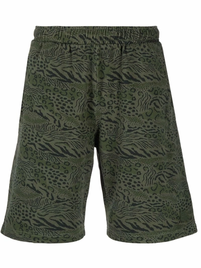 Kenzo Animal Print Cotton Shorts In Brown