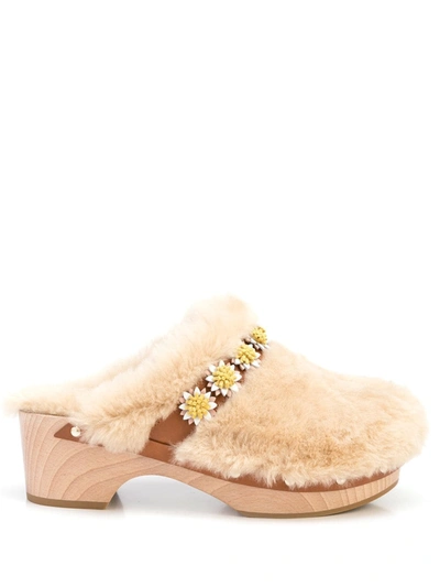 Fabrizio Viti Floral-embellished Shearling Clogs In Beige,brown