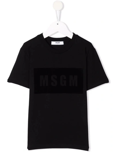 Msgm Kids Black T-shirt With Velvet Logo Box In Nero