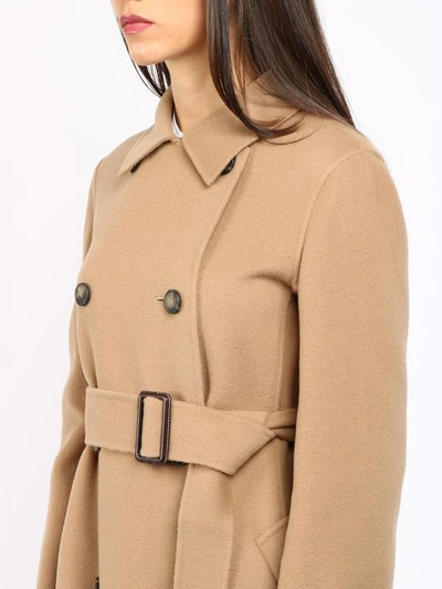 Max Mara Struzzo Coat In Camel Colour | ModeSens