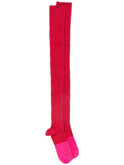 Patou Colour-block Over The Knee Socks In Red