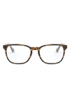 Ray Ban Kids' 48mm Square Optical Glasses In Top Havana