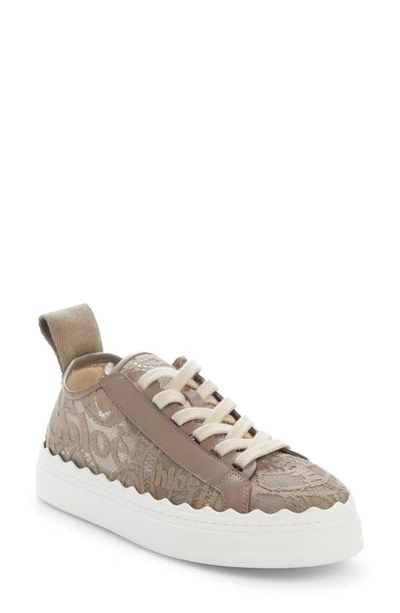 Chloé Lauren Logo Lace Platform Sneaker In Greige