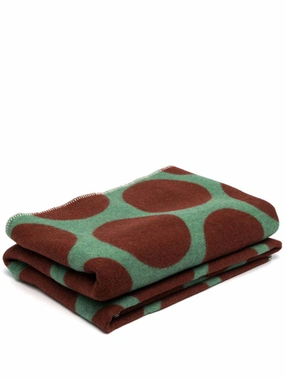 Colville Polka Dot Blanket In Green Brown