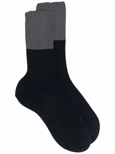 Sofie D'hoore Rib-knit Calf Socks In Black