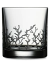 Varga Coral Old Fashioned Glass