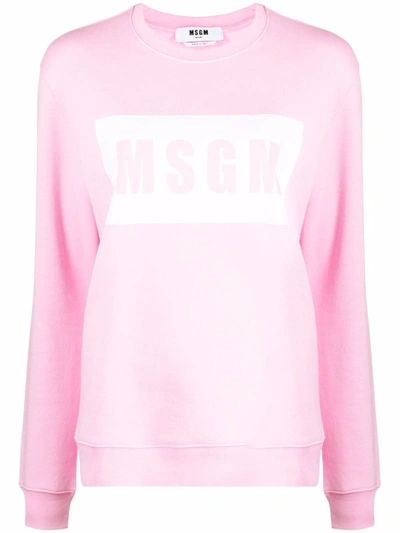 Msgm Crew Neck Logo-print Sweatshirt In 粉色
