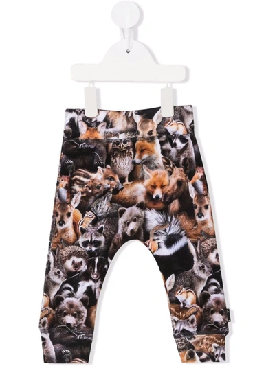 Molo Babies' Animal-print Sweatpants In Brown