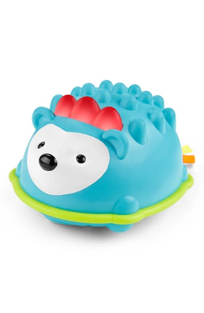 Skip Hop Babies' Em The Hedgehog Crawling Toy In Multicolor