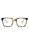 Bohten Jade 50mm Gradient Square Optical Glasses In Tortoise / Clear