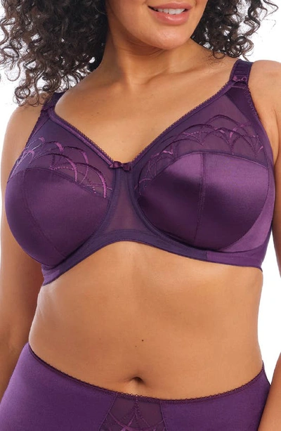 Elomi Cate Full Figure Underwire Lace Cup Bra El4030, Online Only In Plum