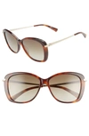 Longchamp 56mm Gradient Lens Butterfly Sunglasses In Warm Havana