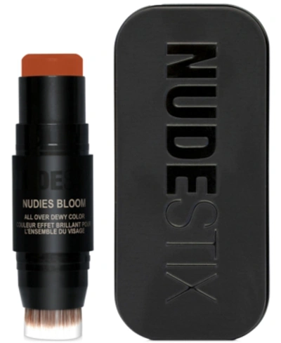 Nudestix Nudies Blooms In Rusty Rouge