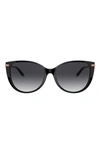 Tiffany & Co 57mm Gradient Cat Eye Sunglasses In Gold Black