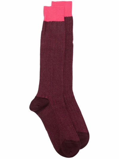 Altea Colour-block Ribbed Knit Socks In Red