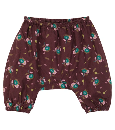 Caramel Baby Faraday Printed Cotton Pants In Multicoloured
