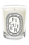 Diptyque Figuier (fig) Scented Indoor & Outdoor Candle, 2.4 oz In Clear Vessel