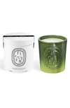 Diptyque Figuier (fig Tree) Scented Indoor & Outdoor Candle In Green Vessel