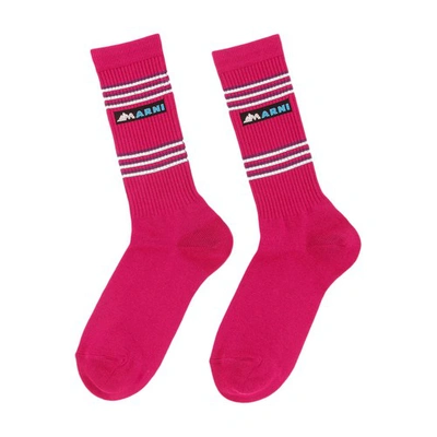 Marni Logo Stripped Socks In Fucsia