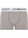 Dolce & Gabbana Logo-waistband Stretch Briefs In Grey