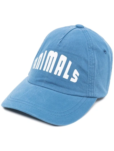 The Animals Observatory Kids' Animals Cotton Baseball Cap In Blue