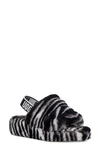 Black/ White Zebra Print