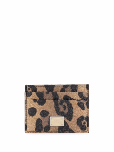 Dolce & Gabbana Leopard-print Cardholder In Brown