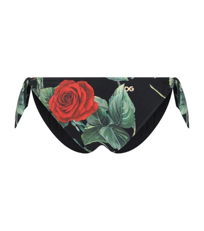 Dolce & Gabbana Tie Bikini Bottoms With Rose Print In Multicolor