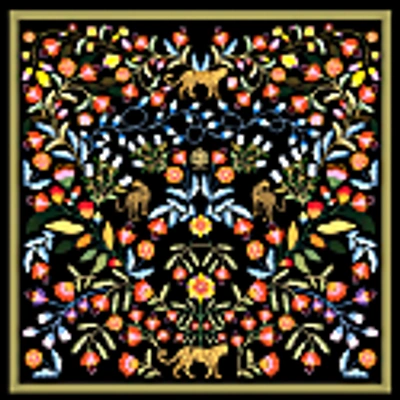 Jessie Zhao New York Double Sided Silk Scarf Of Night Imagination