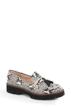 Patricia Green Tassel Lug Sole Loafer In Black/white Snake