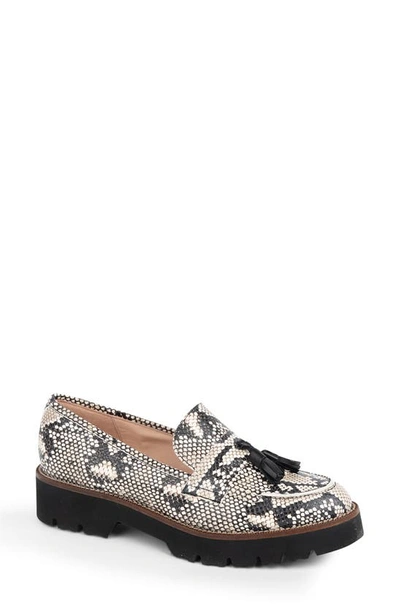 Patricia Green Tassel Lug Sole Loafer In Blk/wht Snake