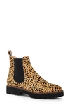 Patricia Green Lug Sole Chelsea Boot In Leopard