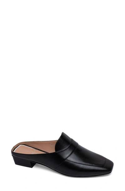 Linea Paolo Galina Mule In Black